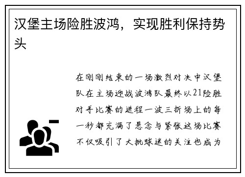 汉堡主场险胜波鸿，实现胜利保持势头