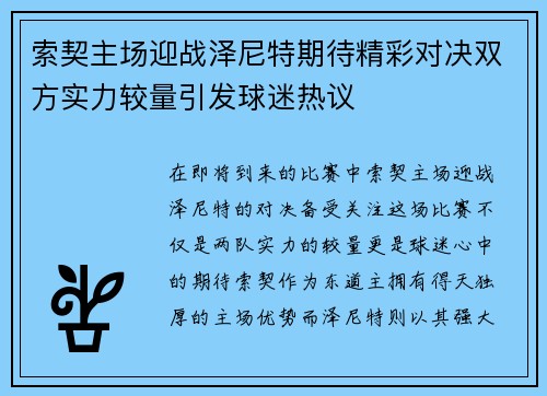索契主场迎战泽尼特期待精彩对决双方实力较量引发球迷热议