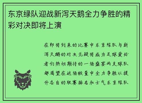 东京绿队迎战新泻天鹅全力争胜的精彩对决即将上演