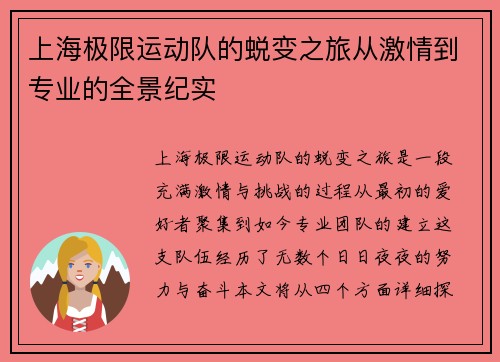 上海极限运动队的蜕变之旅从激情到专业的全景纪实